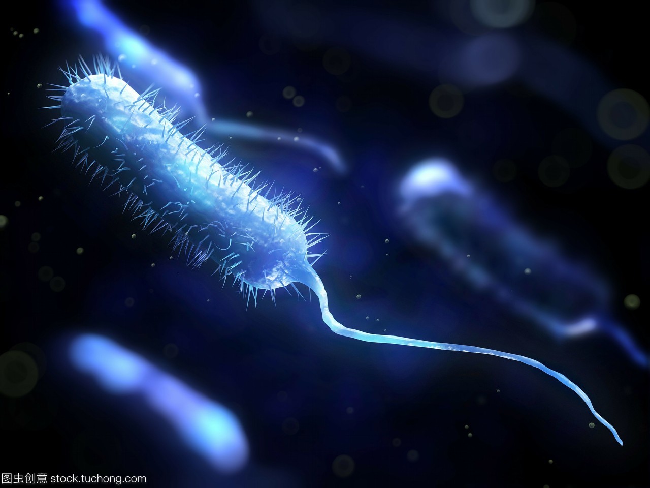 危險,粘貼,微生物,生物學,概念,細菌學,風險,棍,healthcare,artwork,手機,illustration,科技醫療,microbiology,棒,rod shape,infection,桿,細菌性的,植物學,病菌,rod shaped,活力,dangerous,活躍,細菌,mobile,木棒,醫療保健,疾病,rod,生長,conceptual,尾巴,bacilli,pathogen,藝術品,微生物學,bacillus,concept,bacteriology,microbe,active,