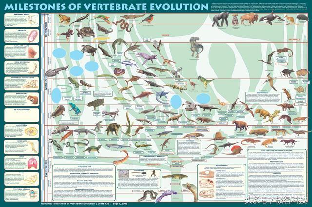 生物進化理論為何可以用在飛行器的優(yōu)化設(shè)計中?讀完就懂
