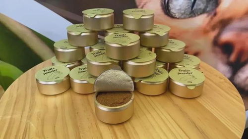 8個(gè)創(chuàng)意滿(mǎn)滿(mǎn)的貓咪用品 貓研所帶你逛亞寵展