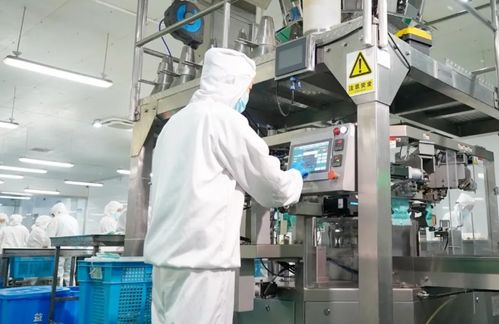 江蘇 它經濟 崛起,萌寵引領產業新藍海