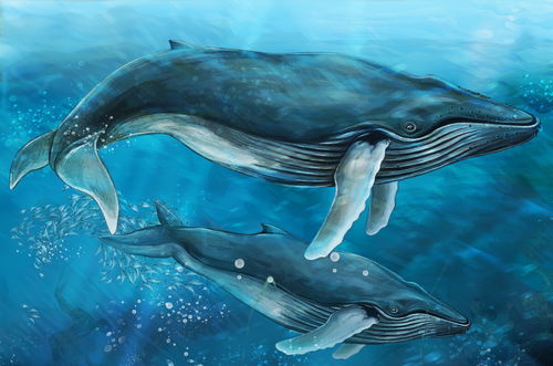 向孩子那樣感受，愛(ài)是望向世界的眼睛